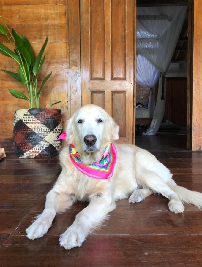 Hostel Karisa Pods Seminyak Zewnętrze zdjęcie